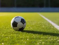 埃梅里揭秘,足总杯关键,战大马丁受,Crown,皇冠娱乐,皇冠娱乐体育入口,皇冠娱乐官网,皇冠娱乐体育APP下载