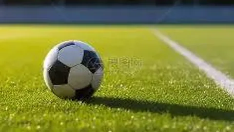 维尔茨团队融入记：并肩成长，共赴前程