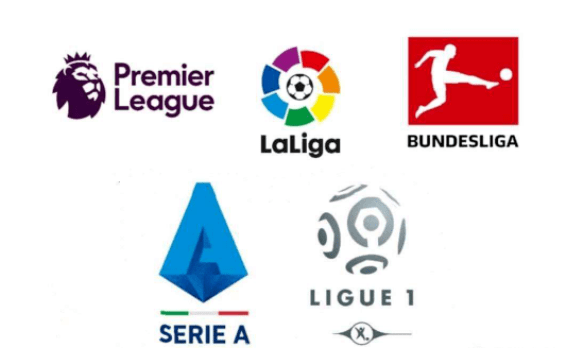 作为国内领 作为国内领