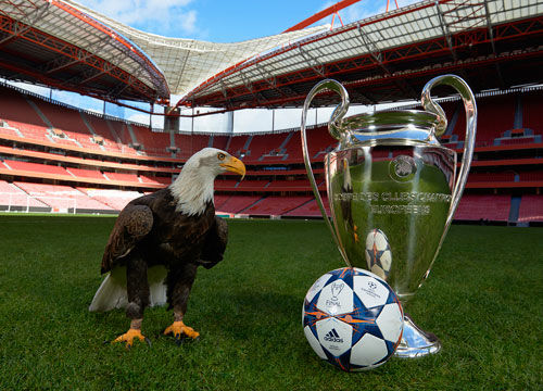 深远影响 深远影响